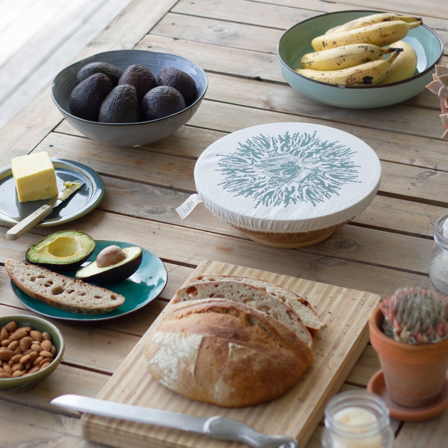 Halo Dish and Bowl Cover Medium | Beach House